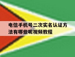 电信手机号二次实名认证方法有哪些呢视频教程
