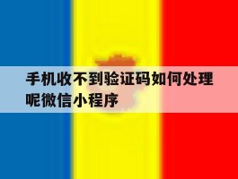手机收不到验证码如何处理呢微信小程序