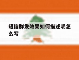 短信群发效果如何描述呢怎么写