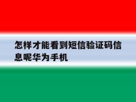 怎样才能看到短信验证码信息呢华为手机
