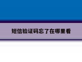 短信验证码忘了在哪里看
