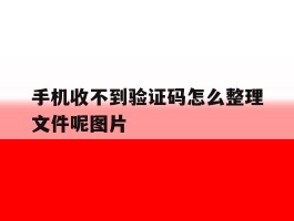 手机收不到验证码怎么整理文件呢图片